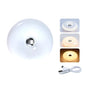 Donut Wall Light