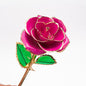 Bloom Eternal 24K Gold Rose